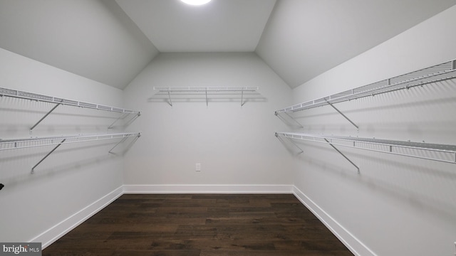 walk in closet with lofted ceiling and dark hardwood / wood-style floors