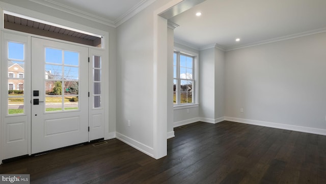 entrance foyer featuring crown molding, dark hardwood / wood-style flooring, and a healthy amount of sunlight