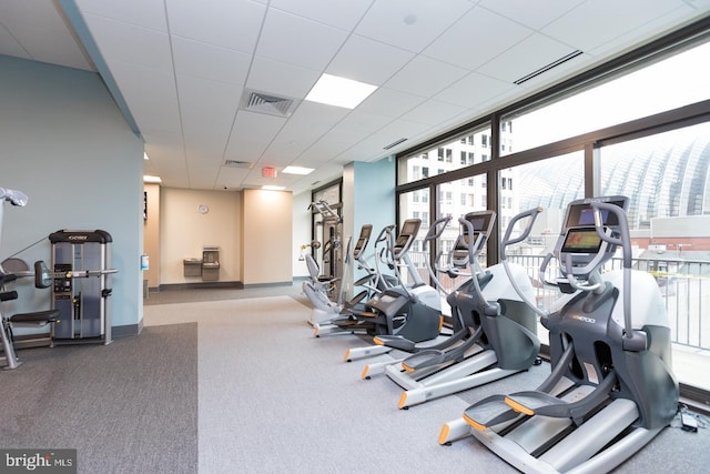 exercise room with expansive windows, a drop ceiling, plenty of natural light, and carpet floors