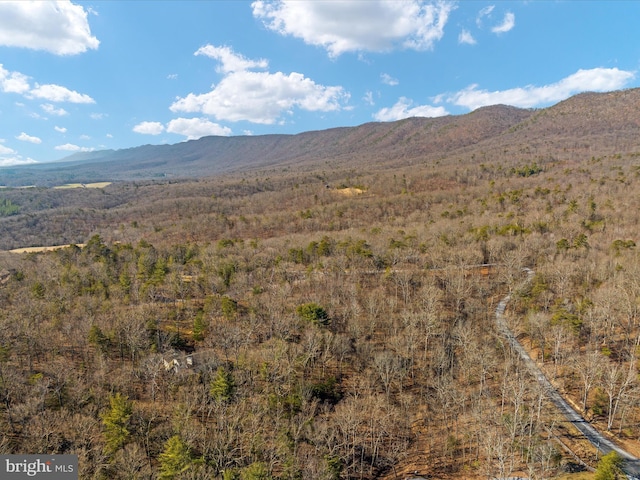 view of mountain view