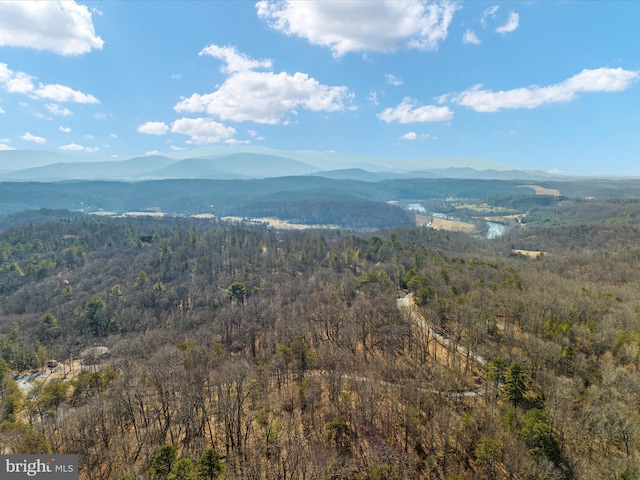 view of mountain feature