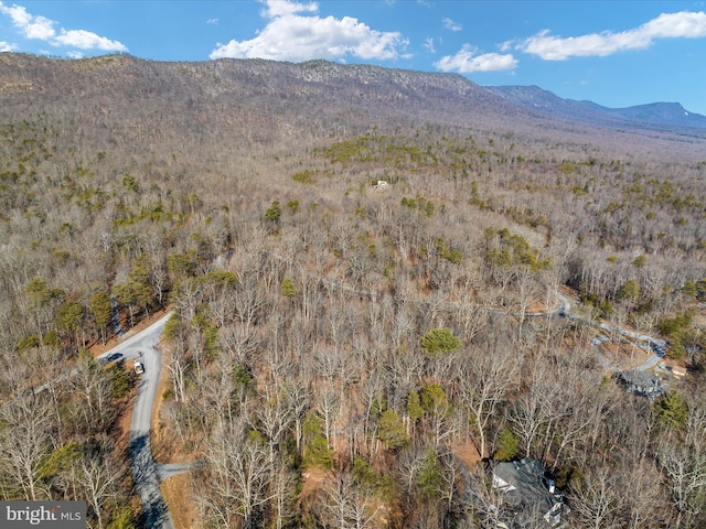 view of mountain feature