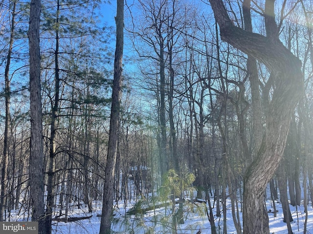 view of snowy landscape