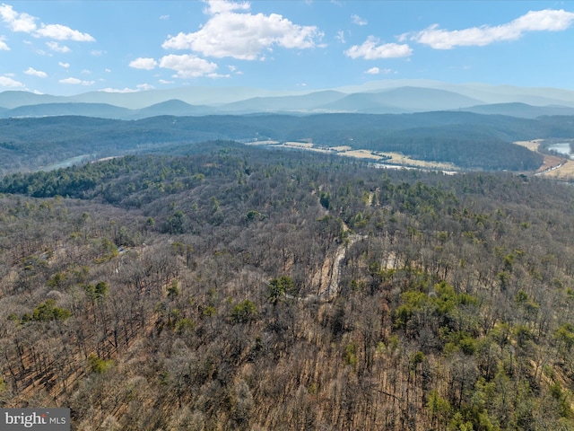 view of mountain feature