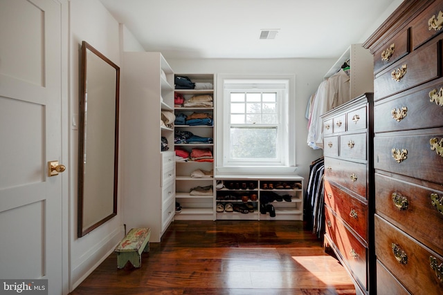 walk in closet with dark hardwood / wood-style flooring