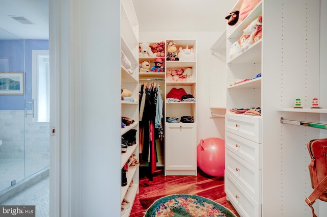 view of spacious closet