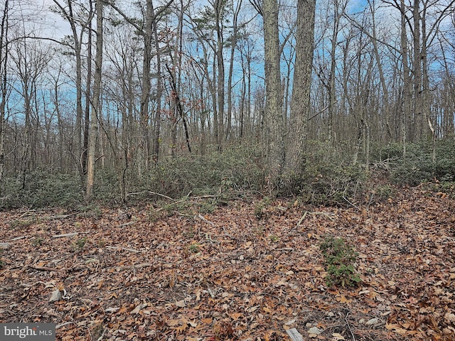 LOT3 Brown Bear Trl, Bloomery, WV 26817 - view of local wilderness