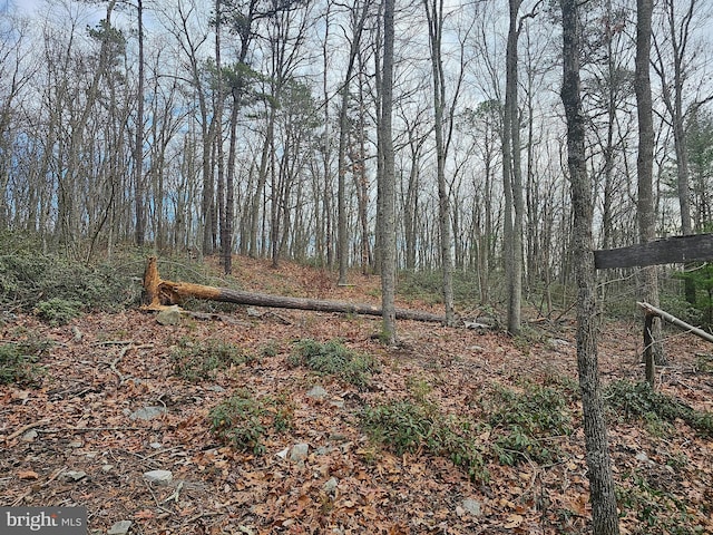 LOT3 Brown Bear Trl, Bloomery, WV 26817 - view of mother earth's splendor
