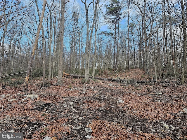 LOT3 Brown Bear Trl, Bloomery, WV 26817 - view of nature