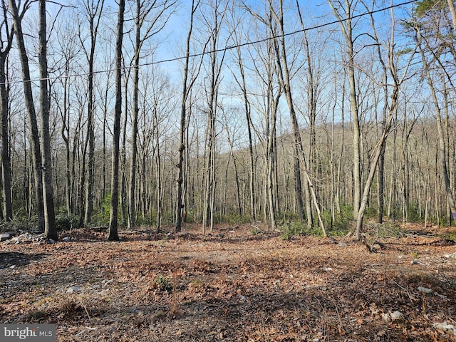LOT3 Brown Bear Trl, Bloomery, WV 26817 - view of nature