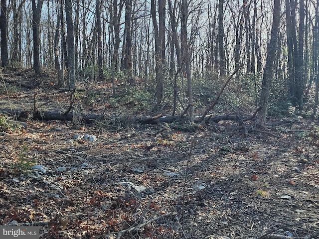 LOT3 Brown Bear Trl, Bloomery, WV 26817 - view of nature