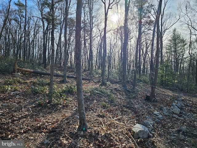 LOT3 Brown Bear Trl, Bloomery, WV 26817 - view of nature