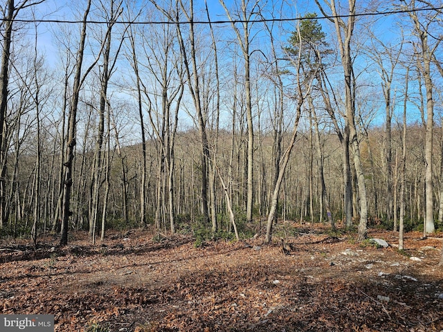 LOT3 Brown Bear Trl, Bloomery, WV 26817 - view of local wilderness