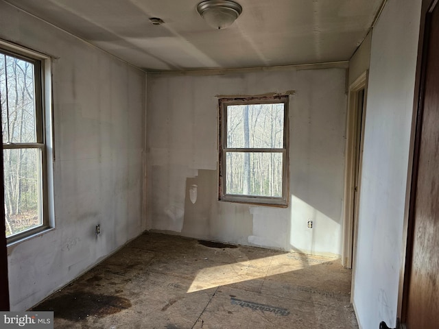 LOT3 Brown Bear Trl, Bloomery, WV 26817 - spare room featuring a wealth of natural light