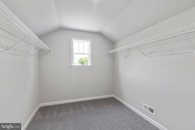 walk in closet featuring lofted ceiling and dark colored carpet