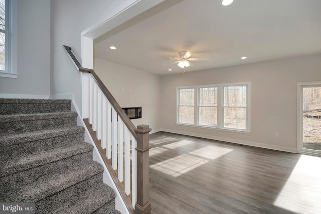 staircase featuring ceiling fan and hardwood / wood-style flooring