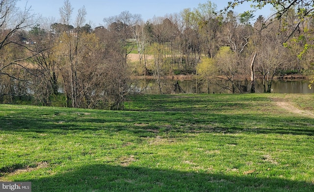 view of yard featuring a water view