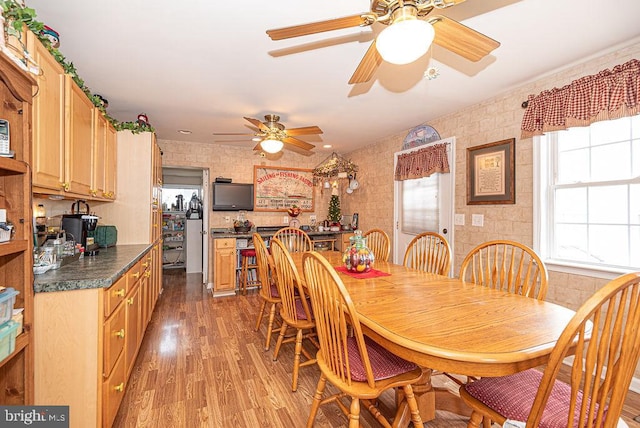 dining area featuring dark hardwood / wood-style flooring and ceiling fan