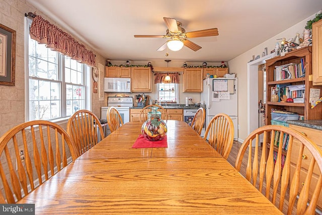 dining room with ceiling fan, sink, and light wood-type flooring