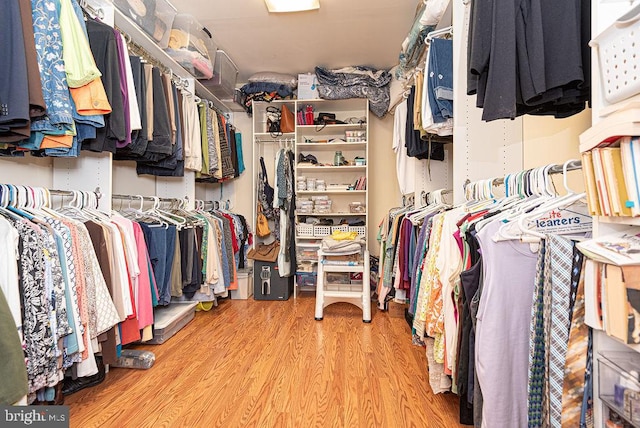 spacious closet featuring light hardwood / wood-style flooring