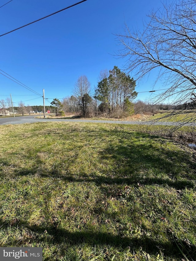 7673 Pocomoke River Rd, Pocomoke MD, 21851 land for sale