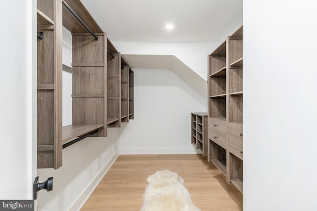 walk in closet with light hardwood / wood-style flooring