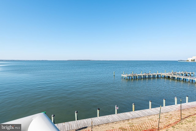 dock area with a water view