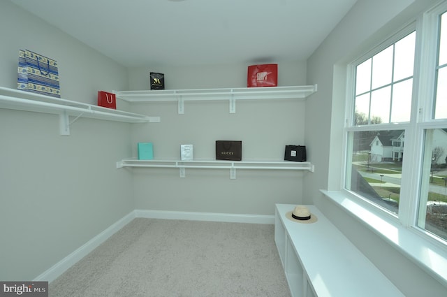 walk in closet with light colored carpet