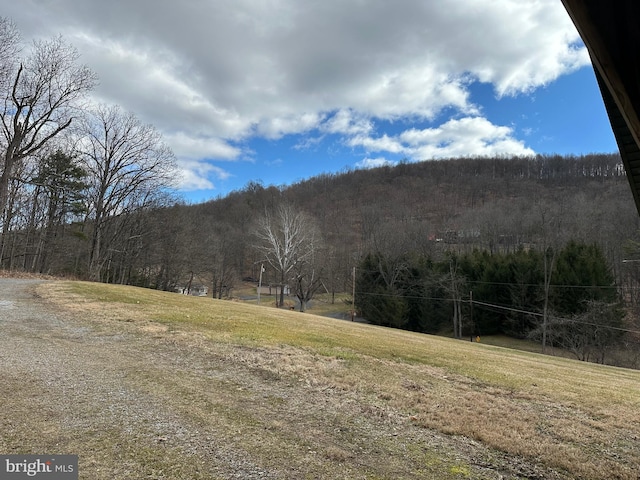 view of mountain feature