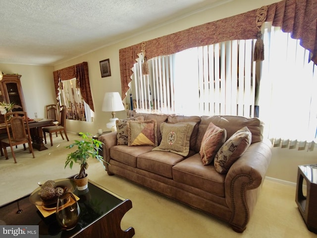 carpeted living room featuring a textured ceiling