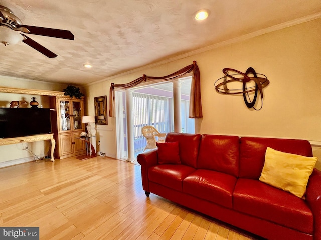 living room featuring ceiling fan, light wood-type flooring, and crown molding