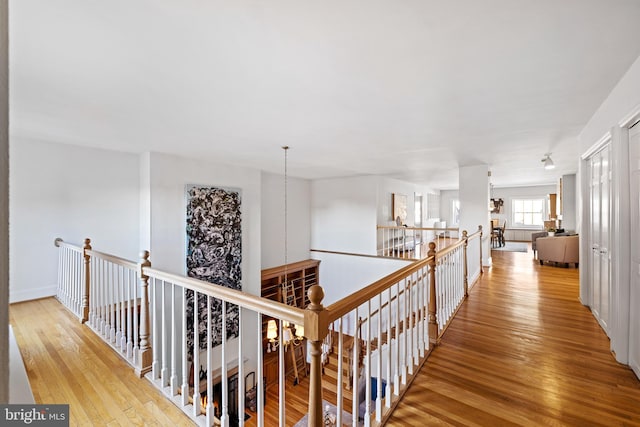 hall with light hardwood / wood-style flooring