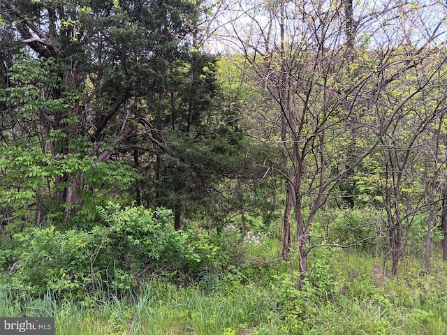 Mcmullen Hwy, Cresaptown, MD 21502