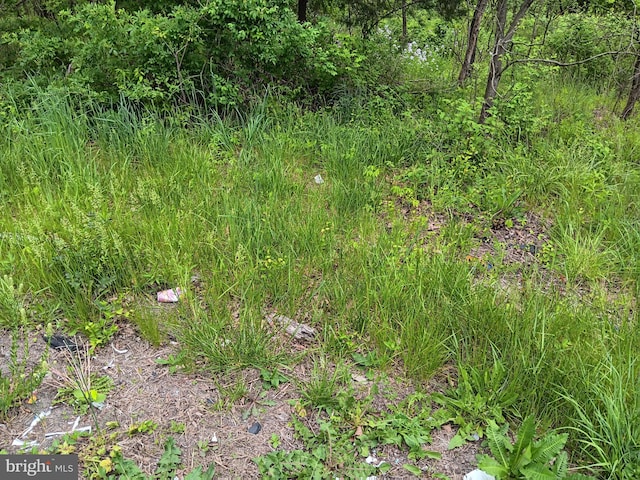 Mcmullen Hwy, Cresaptown, MD 21502