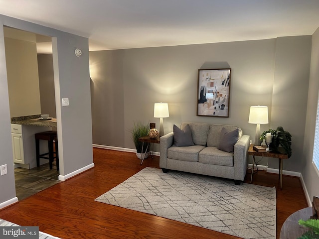 living room featuring dark wood-type flooring