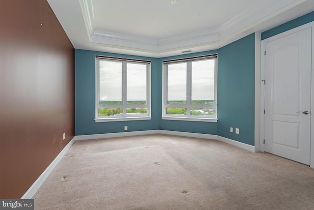 spare room with light carpet, ornamental molding, and a wealth of natural light