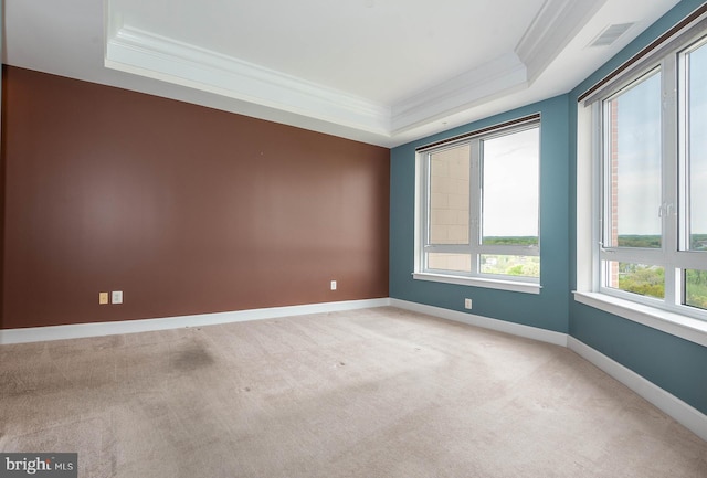 carpeted spare room featuring ornamental molding and a raised ceiling