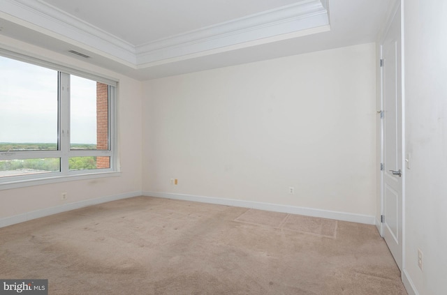 carpeted empty room featuring crown molding and a raised ceiling