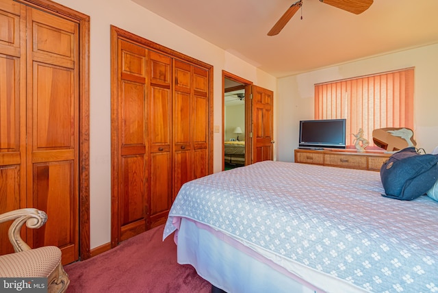 bedroom with two closets, ceiling fan, and carpet