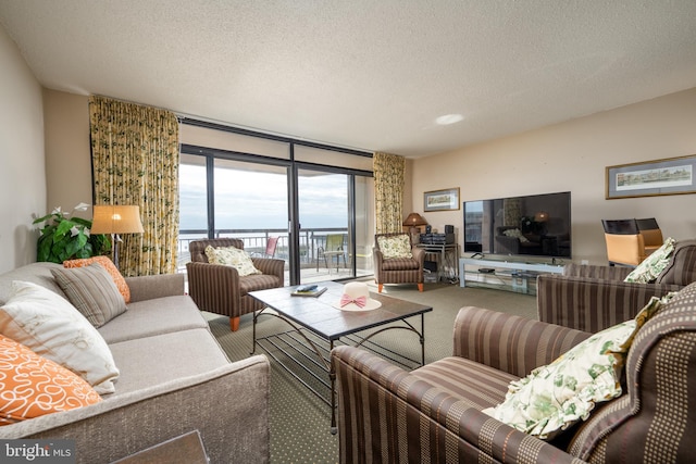 living room with carpet flooring, a textured ceiling, and floor to ceiling windows