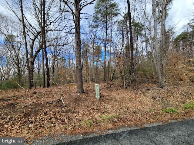 Listing photo 2 for Decatur Rd, Stafford VA 22554