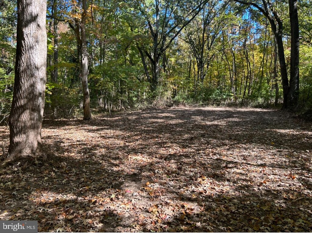 Elm Rd, Chestertown, MD 21620