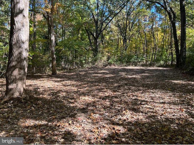 Elm Rd, Chestertown MD, 21620 land for sale