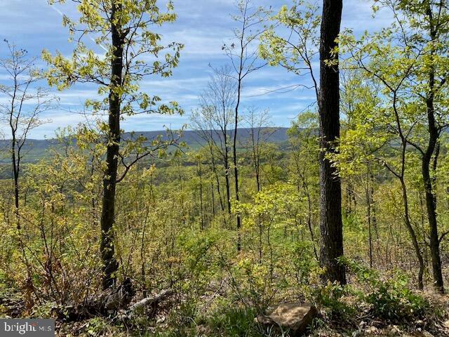 LOT6 Polecat Hollow Rd, Hopewell PA, 16650 land for sale