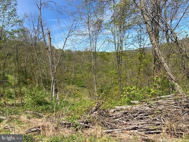 Listing photo 2 for LOT6 Polecat Hollow Rd, Hopewell PA 16650