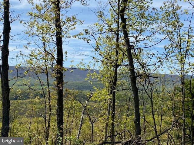 Listing photo 3 for LOT6 Polecat Hollow Rd, Hopewell PA 16650