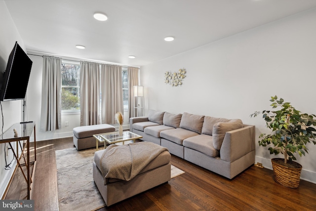 living room featuring wood-type flooring