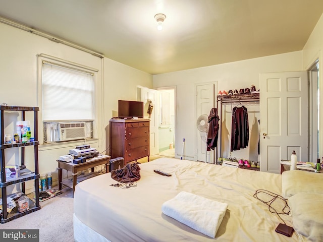 bedroom with a closet and light colored carpet