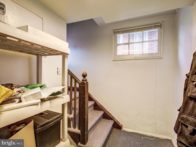 stairs featuring carpet floors