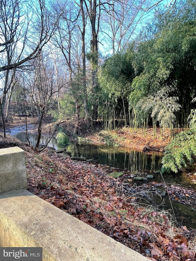 view of yard featuring a water view